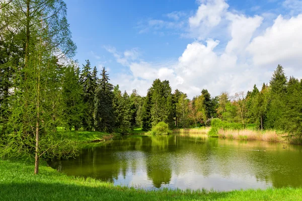 Pequeno lago — Fotografia de Stock