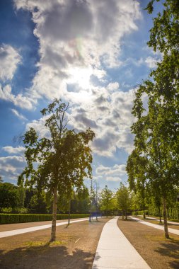Berlin 'de yaylım ateşinde