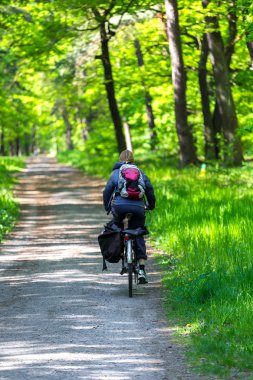 Ormanın yürüyüş