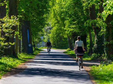 Ormanın yürüyüş
