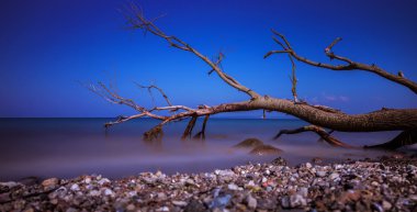 İklim değişikliği