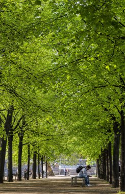 Unter den linden Berlin