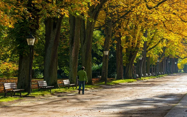 Büyük Şehir Parktan Sonbahar Taklitleri — Stok fotoğraf