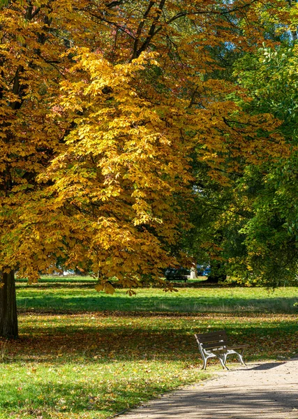 Impressions Automne Grande Ville Parc — Photo