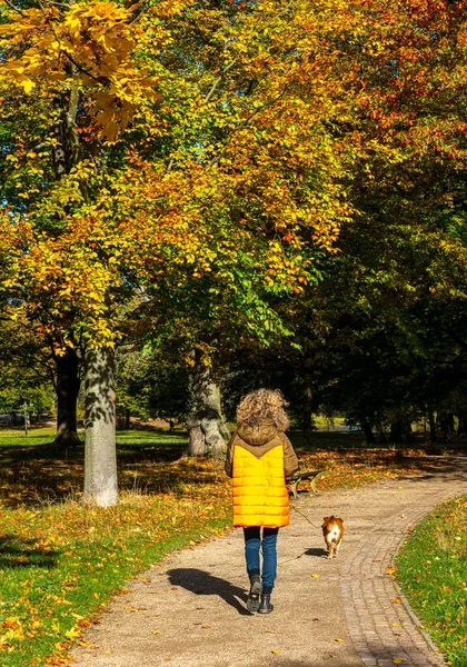 Őszi Benyomások Nagyvárosból Parkból — Stock Fotó