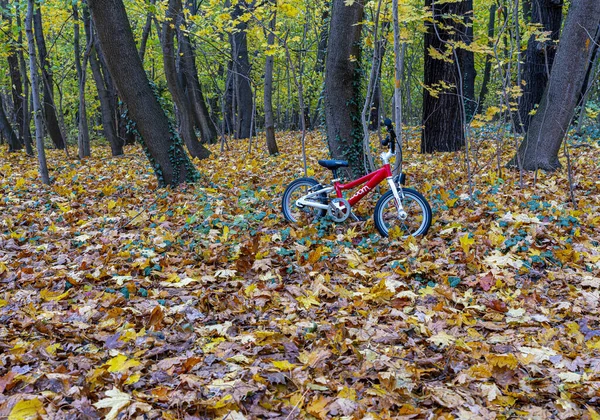 大都市と森からの秋の印象 — ストック写真