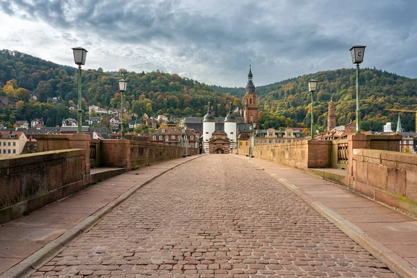 Heidelberg Mit Der Alten Brücke Und Schönen Alten Villen Neckar — Stockfoto