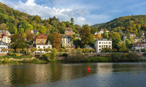 Heidelberg Med Den Gamla Bron Och Vackra Gamla Herrgårdar Neckar — Stockfoto