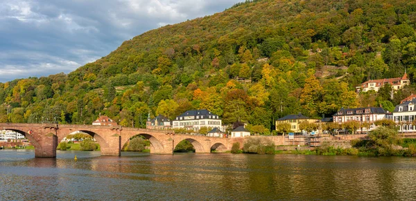 Heidelberg Starým Mostem Krásnými Starými Domy Neckaru Baden Wuerttemberg — Stock fotografie