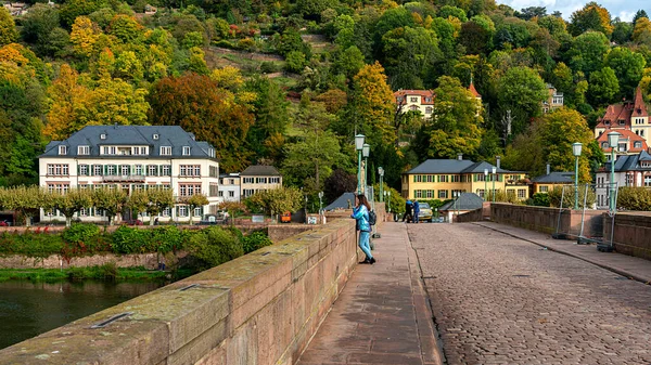 Villas Historic Houses Neckar River Heidelberg Baden Wuerttemberg — Stock Photo, Image