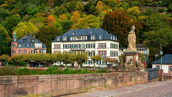 Wille Zabytkowe Domy Nad Rzeką Neckar Heidelbergu Baden Wuerttemberg — Zdjęcie stockowe