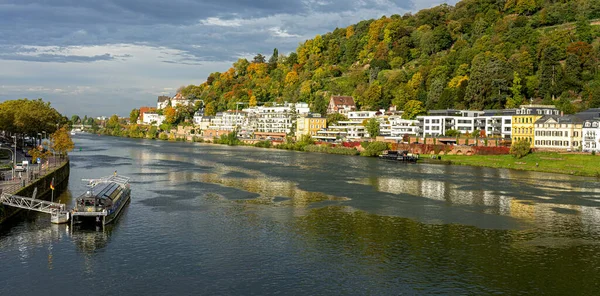 Villor Och Historiska Hus Vid Floden Neckar Heidelberg Baden Wuerttemberg — Stockfoto