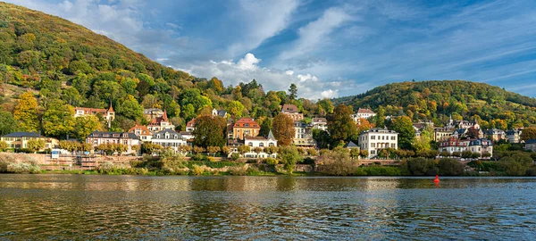 Villa Historische Huizen Aan Neckar Rivier Heidelberg Baden Wuerttemberg — Stockfoto