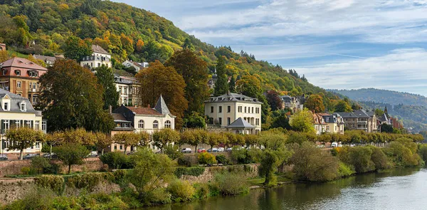 Βίλες Και Ιστορικά Σπίτια Στον Ποταμό Neckar Στη Χαϊδελβέργη Baden — Φωτογραφία Αρχείου