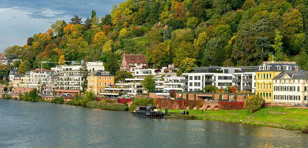 Villas Historic Houses Neckar River Heidelberg Baden Wuerttemberg — Stock Photo, Image