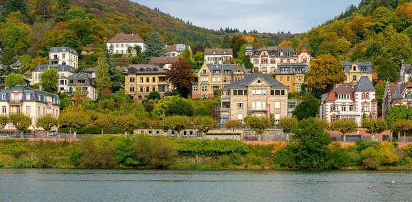 Villor Och Historiska Hus Vid Floden Neckar Heidelberg Baden Wuerttemberg — Stockfoto