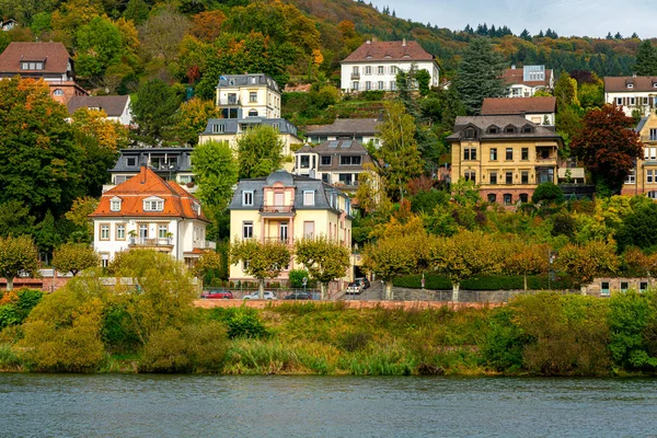 Villas Historic Houses Neckar River Heidelberg Baden Wuerttemberg — Stock Photo, Image