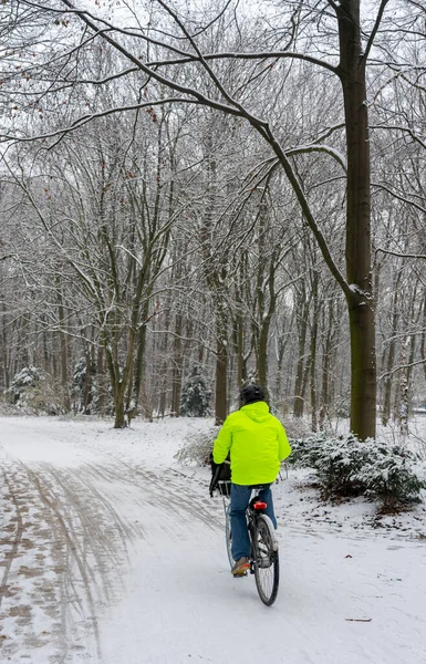 Walkers Joggers Cyclists Snow Covered Winter Park Tiergarten Berlin Mitte — стокове фото