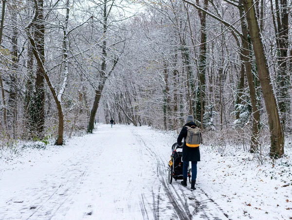 Caminantes Corredores Ciclistas Parque Invierno Cubierto Nieve Del Tiergarten Berlín —  Fotos de Stock