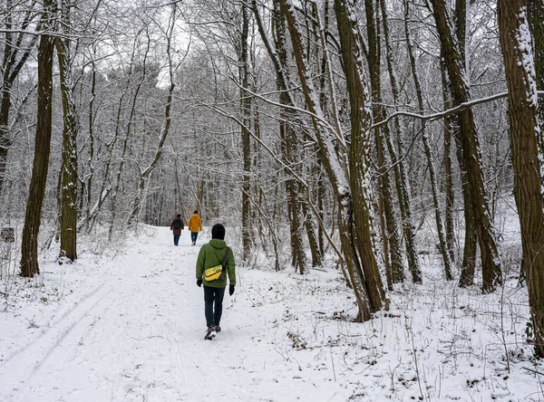 Περιπατητές Δρομείς Και Ποδηλάτες Στο Χιονισμένο Χειμερινό Πάρκο Tiergarten Στο — Φωτογραφία Αρχείου