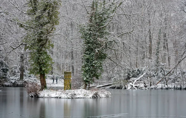 Bomen Een Klein Meer Winterse Besneeuwde Park Tiergarten Berlijn Mitte — Stockfoto