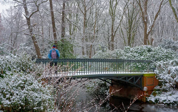 Arbres Petit Lac Dans Hiver Parc Enneigé Tiergarten Berlin Mitte — Photo