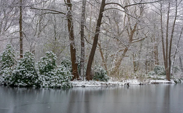 Bomen Een Klein Meer Winterse Besneeuwde Park Tiergarten Berlijn Mitte — Stockfoto