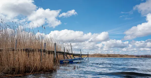 Small Rowing Boat Reeds Sellin Lake Sellin Rgen Germany — Stock Fotó