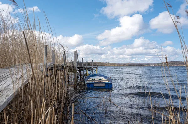 Small Rowing Boat Reeds Sellin Lake Sellin Rgen Germany — Stock Fotó