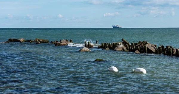 Pinzas Madera Groynes Piedras Playa Del Mar Báltico Cerca Sassnitz —  Fotos de Stock
