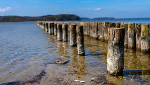 Groynes Great Jasmunder Bodden Ruegen Island Mecklemburgo Pomerania Occidental Alemania — Foto de Stock