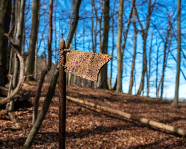 Waldgebiet Und Parks Mit Entwurzelten Bäumen Auf Der Insel Rügen — Stockfoto