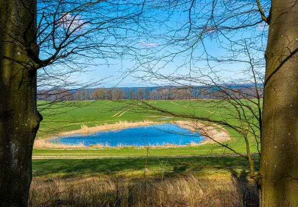 田野里的小池塘 Ralswiek Ruegen Mecklenburg Vorpommern Germany — 图库照片