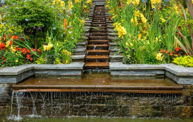 Almanya 'da Baden-Wrttemberg, Mainau Bodensee Adası' ndaki çiçek ve bitkiler