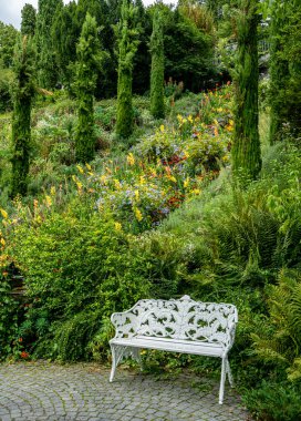 Almanya 'da Baden-Wrttemberg, Mainau Bodensee Adası' ndaki çiçek ve bitkiler