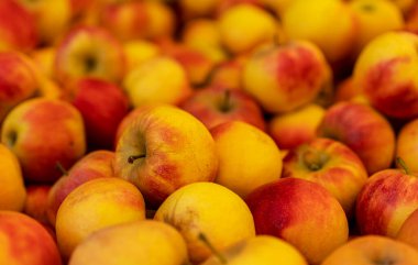 Apple at a market stall on the premises of the Spargelhof in Klaistow, Brandenburg, Germany