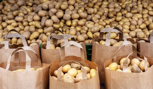 Німецька Картопля Фермерському Ринку Берлін Зародок — стокове фото