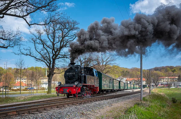 Historic Rasender Roland Railway Holiday Island Ruegen Sellin Mecklenburg West — Foto Stock