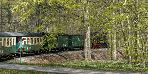 Historic Rasender Roland Railway Holiday Island Ruegen Sellin Mecklenburg West — Foto Stock