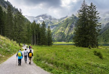 Avusturya 'nın Tirol kentindeki Vilsalpsee çevresindeki manzara ve doğa