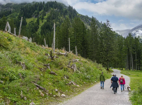 Krajina Příroda Kolem Vilsalpsee Tyrolsku Rakousko — Stock fotografie