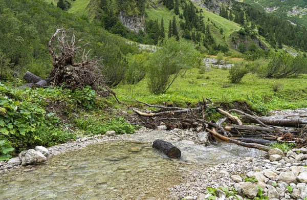 Paesaggio Natura Intorno Vilsalpsee Tirolo Austria — Foto Stock