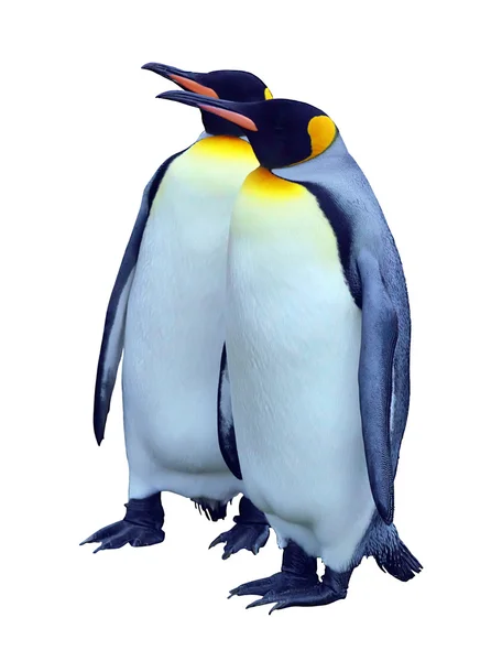 Due pinguini imperatore isolati con percorso di ritaglio — Foto Stock