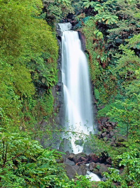 Trafalgar düşüyor