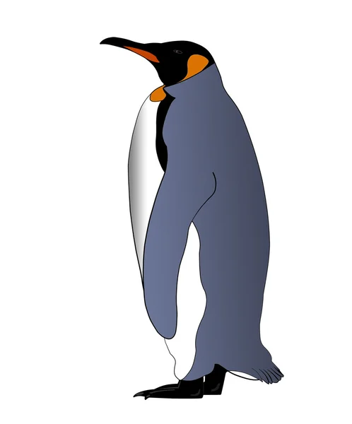 Изолированный императорский пингвин — стоковое фото