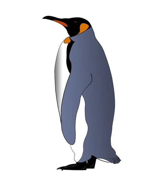 Isolierter Kaiserpinguin — Stockfoto