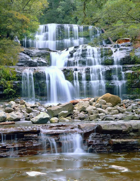 Liffey Falls. Imagen De Stock