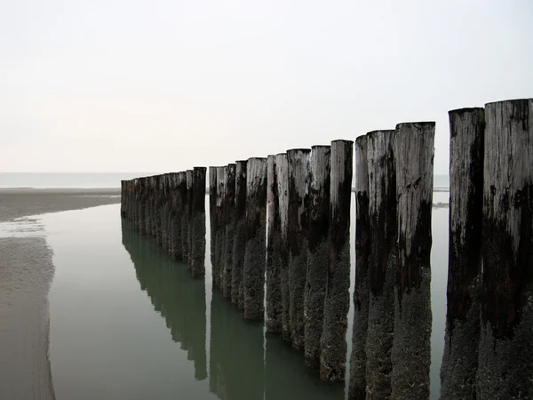 Fila in spiaggia — Foto Stock