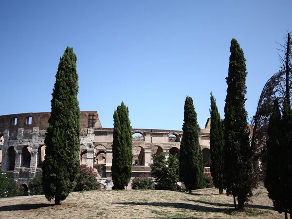 Κολοσσαίο στη Ρώμη Εικόνα Αρχείου