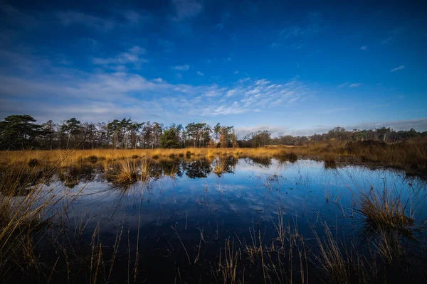 Uma Paisagem Charneca Com Reflexão Fotos De Bancos De Imagens Sem Royalties